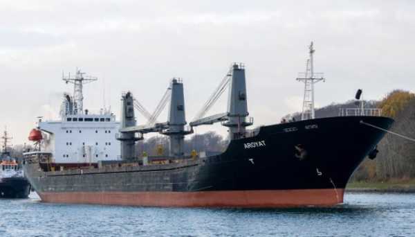 Second Ukrainian grain vessel reaches Turkey