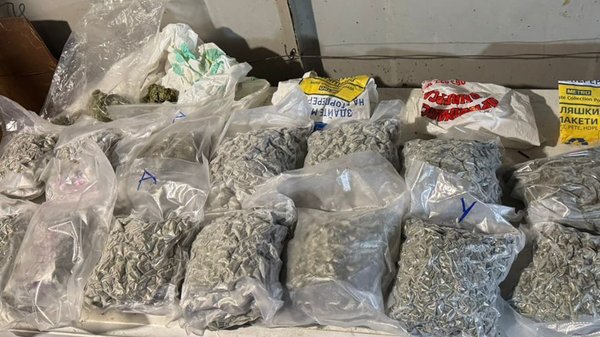 UAH 5 million worth of drugs seized: law enforcement officers exposed an&hellip;