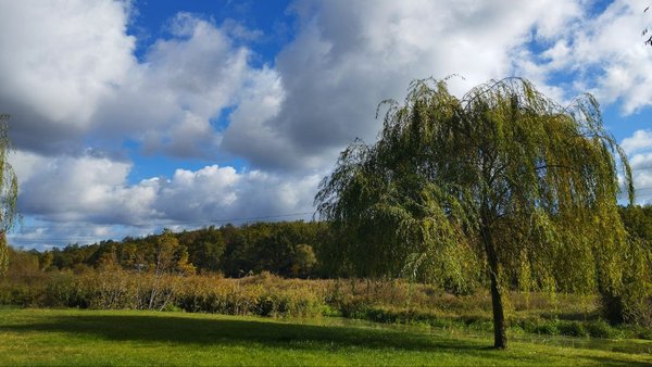 Appropriation of land worth over UAH 22 million:…