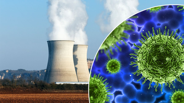 Bacteria in Fukushima reactor water survived and can&hellip;