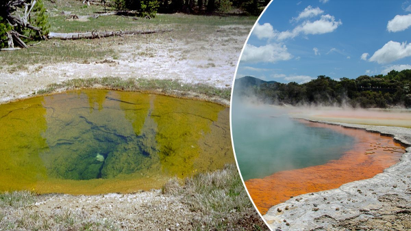 Boron and ribose on early Earth – how minerals could have contributed to the emergence of RNA