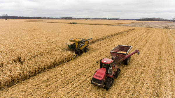Brazil's total crop will increase in 2026, although corn will yield less