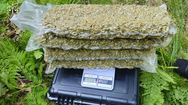 Drugs were produced and sold throughout the country: a Kyiv resident is&hellip;