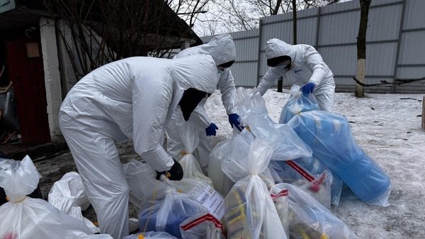 34 laboratories and millions of doses: National Police dismantled drug network in…