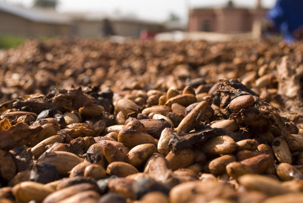 Ghana's President calls emergency meeting over falling cocoa&hellip;