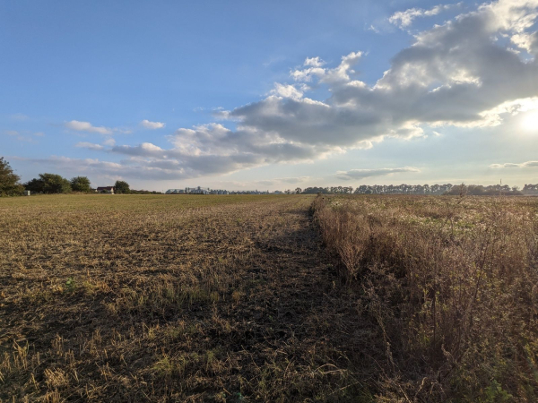 How much does a hectare of land cost – what is the price per share in the Lviv region, where is the cheapest land?