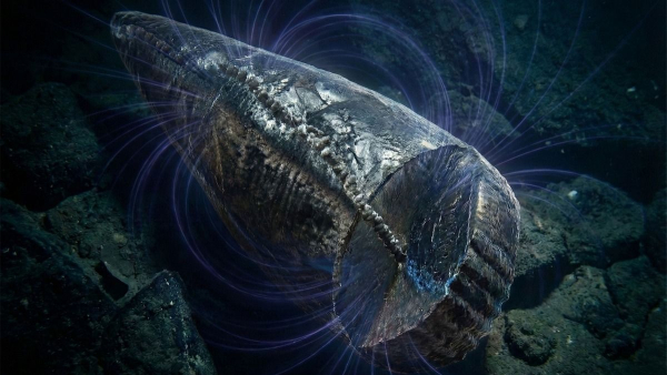 Magnetic navigation in animals may have appeared earlier,&hellip;