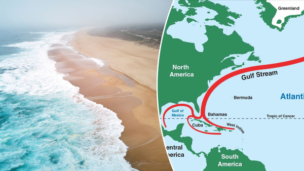 Ocean salinity is decreasing by 30 percent and…