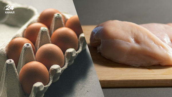 Price per dozen eggs 2026 – how much will eggs cost in the spring, will eggs become more expensive before Easter