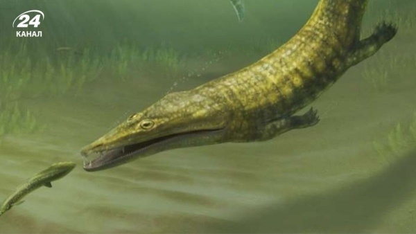 True masters of the seas: scientists have studied…