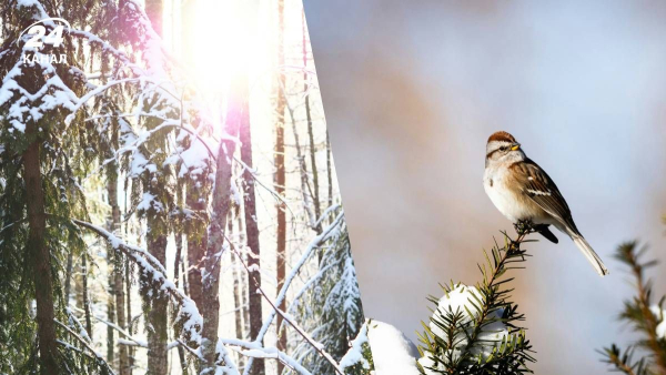 Weather forecast – when will warming begin in Ukraine, dates of warming&hellip;