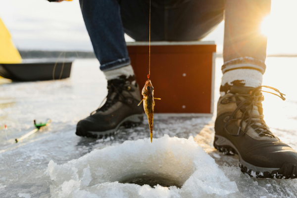 Winter fishing – what are the fines for violating fishing rules?