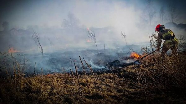 In a day, the State Emergency Service of&hellip;