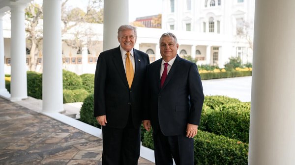 “A true friend, a fighter and a winner”: Trump urged Hungarians to…