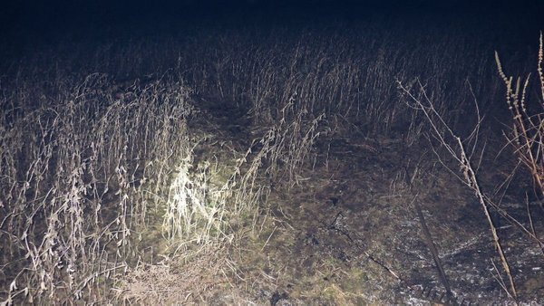 In the Kyiv region, an 89-year-old grandfather died…