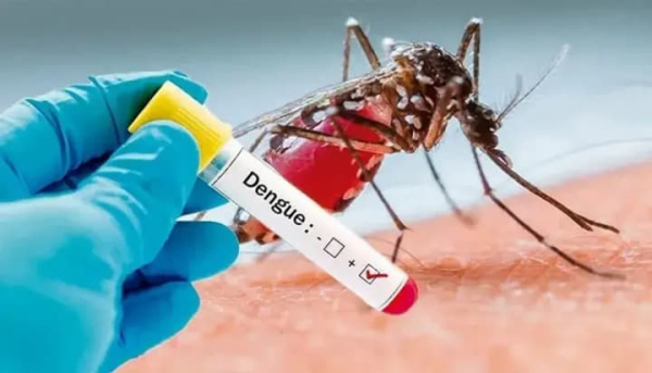 A case of dengue fever was recorded in a 24-year-old woman in the Lviv region