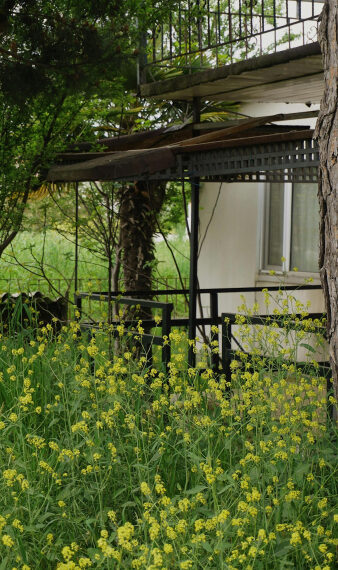 Can a neighbor take your land if it has not been privatized?