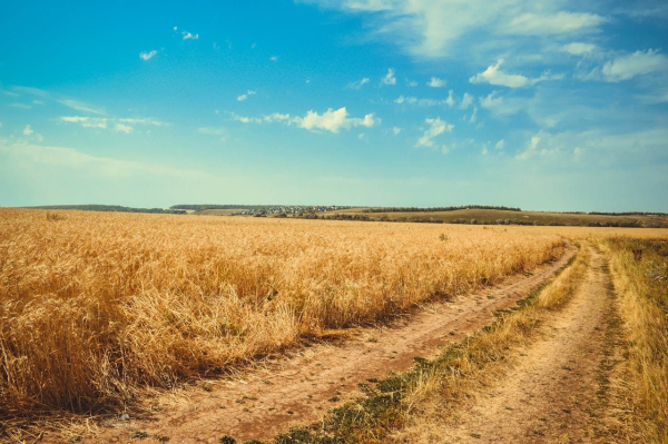 Construction on communal lands – is it possible&hellip;