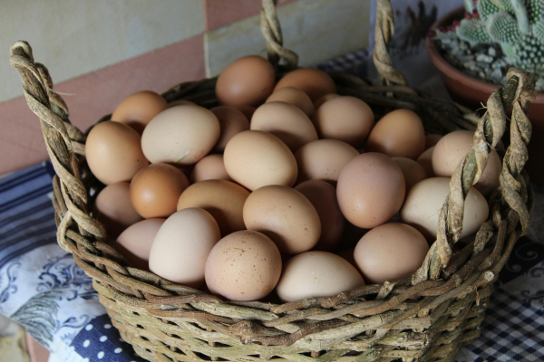 Egg prices after Easter – will they get&hellip;