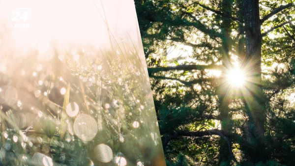 Frosts in March – where will there be frosts, and in which&hellip;