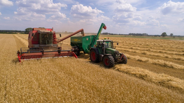 Grain exports from Ukraine fell by 23 percent…