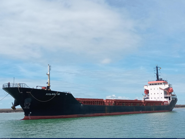 Grain from Mariupol ended up with UN supplier – journalists' investigation