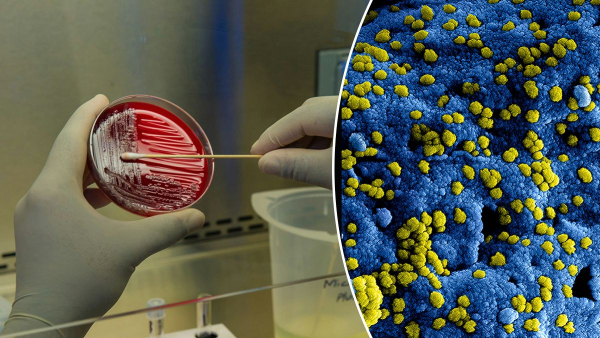 How life appeared on Earth – scientists use a new method to find the beginning of everything