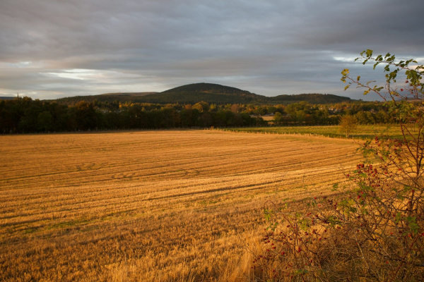 How to protect your site from double registration collision