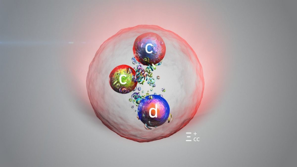 New particle discovered at the Large Hadron Collider