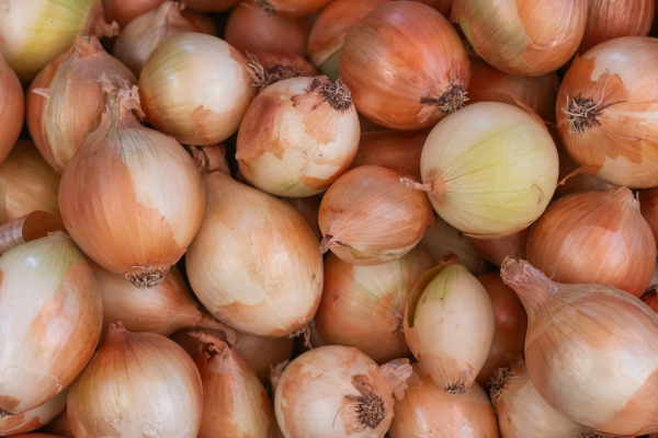 Onion prices in Ukraine fell by 19 percent…