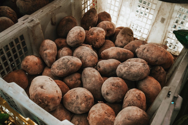 Potato crisis in the EU – prices have&hellip;