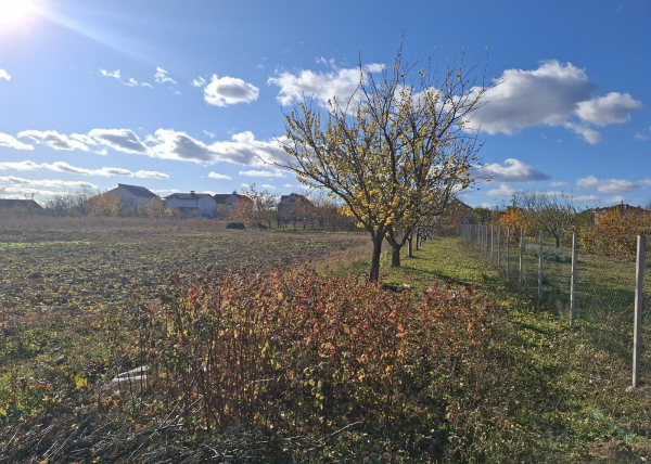 The distance from the tree to the neighbor's&hellip;