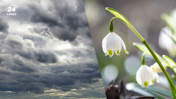 Weather in Ukraine on March 25 – what will the temperature be…