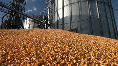 Putin promotes the idea of a grain hub…