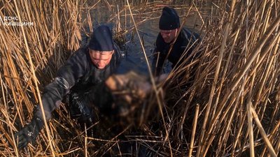 Disappeared in early April: man's body found in a pond in Kyiv…