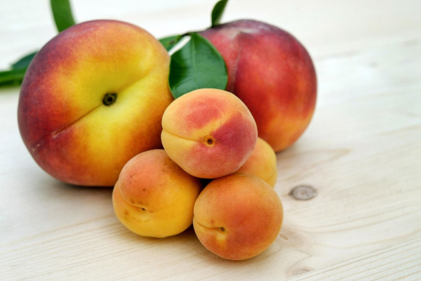 Apricot and peach prices to rise due to crop losses