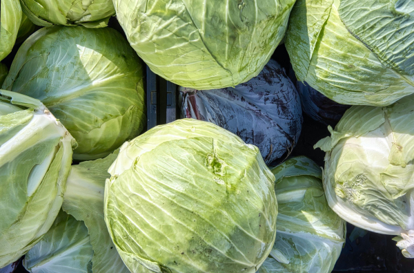 Cabbage price dynamics in Ukraine – what affects the market in spring