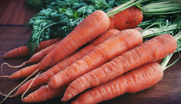Carrot prices in Ukraine have increased – reasons for the increase in price
