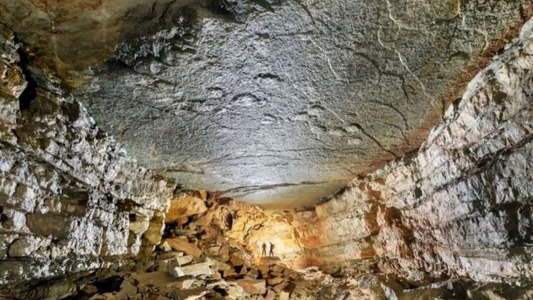 Dinosaur footprints found in French cave 500 meters deep