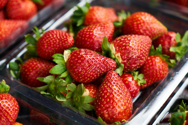 Early strawberries from Transcarpathia – prices, reasons for&hellip;