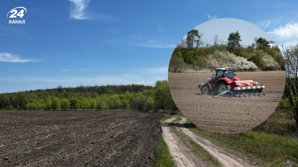 Fuel prices increase sowing costs – the 2026&hellip;