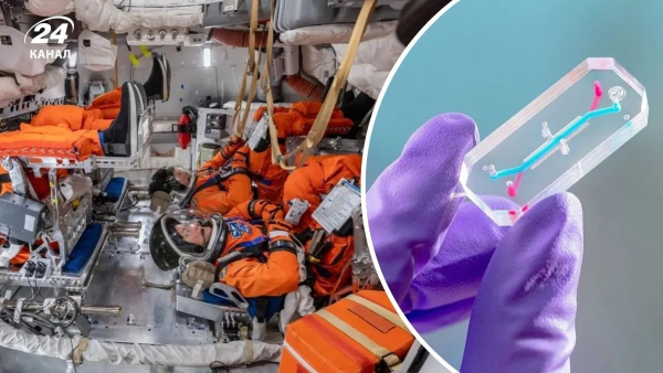 How the flight to the Moon will go – Artemis 2 experiments and mission goals