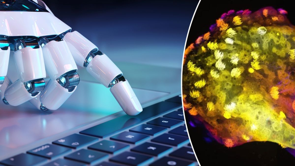 Neurobots and the future of bioengineering – scientists&hellip;