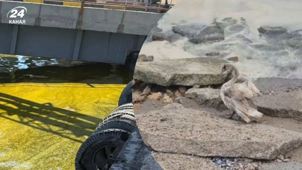 Oil pollution of the Black Sea due to the April 26 attack&hellip;