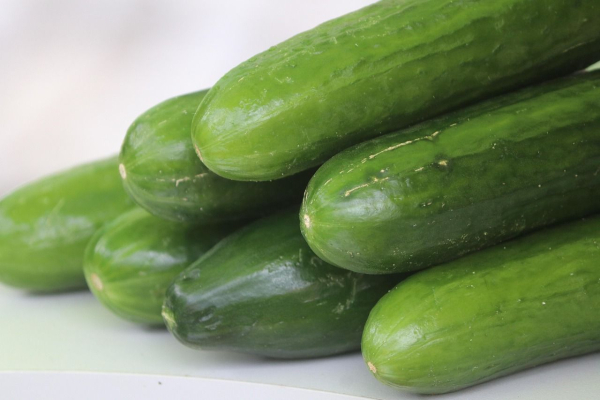Prices for greenhouse cucumbers in Ukraine are decreasing…