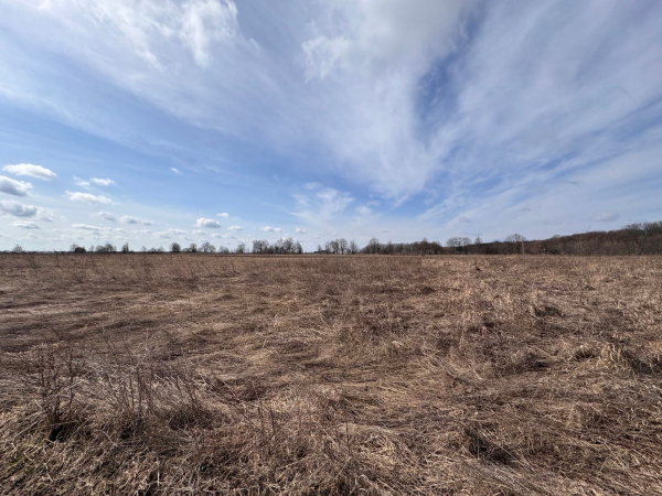 Privatization of the vegetable garden 2026 – can&hellip;