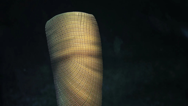 Scientists find ancient sponge that explains 160 million years without fossils