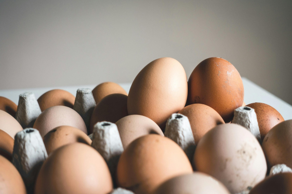 Ukrainian eggs are actively purchased in the world&hellip;