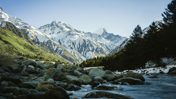 Vegetation in the Himalayas is changing the ecology and water resources of Asia