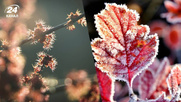 Weather forecast for April 11 – will it warm up, weather in…